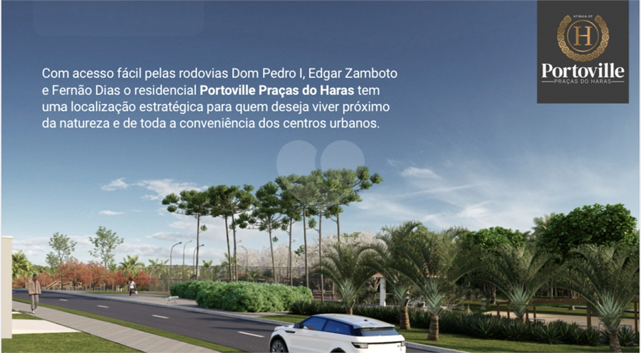 Foto REO1121755