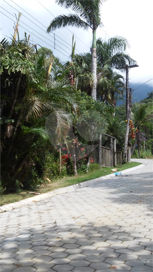 Foto REO1121775