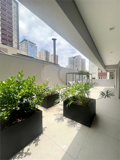 Foto REO1121787
