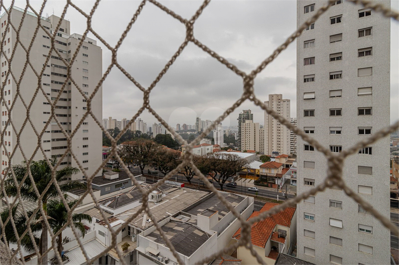 Foto REO1121799