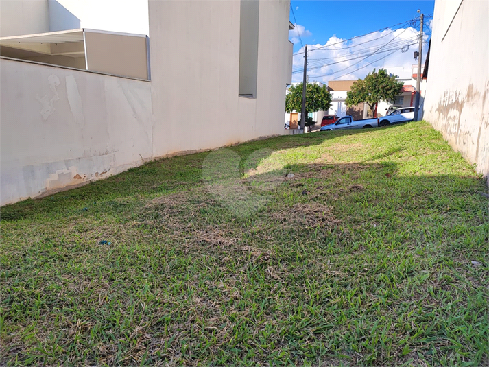 Foto REO1121828