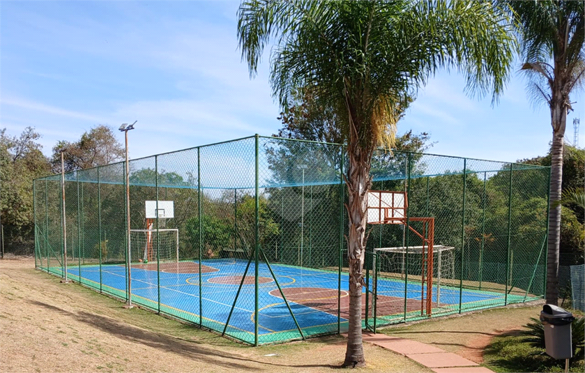 Foto REO1121828