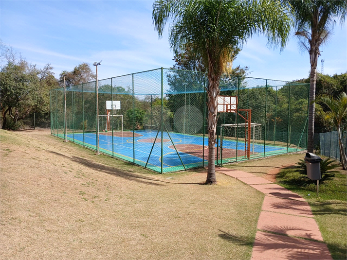 Foto REO1121828