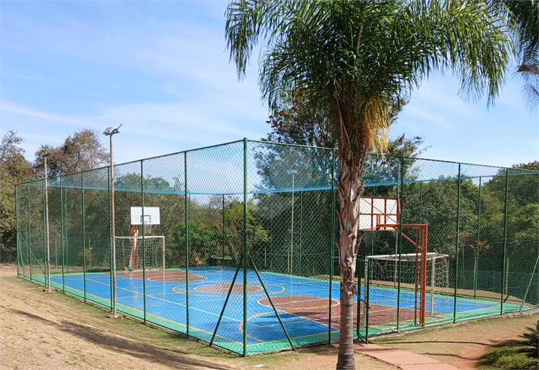 Foto REO1121828