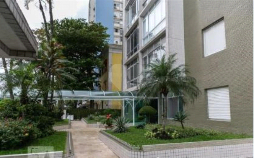 Foto REO1121837