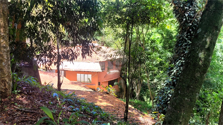 Foto REO1121840