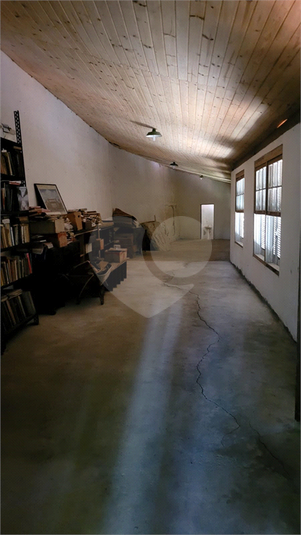 Foto REO1121840