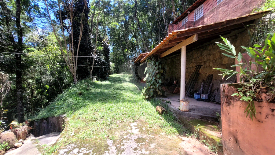 Foto REO1121840
