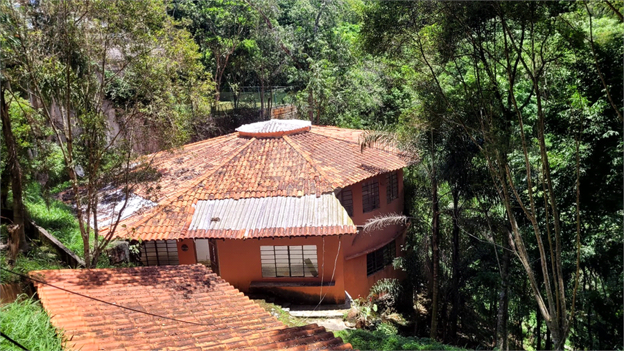 Foto REO1121840