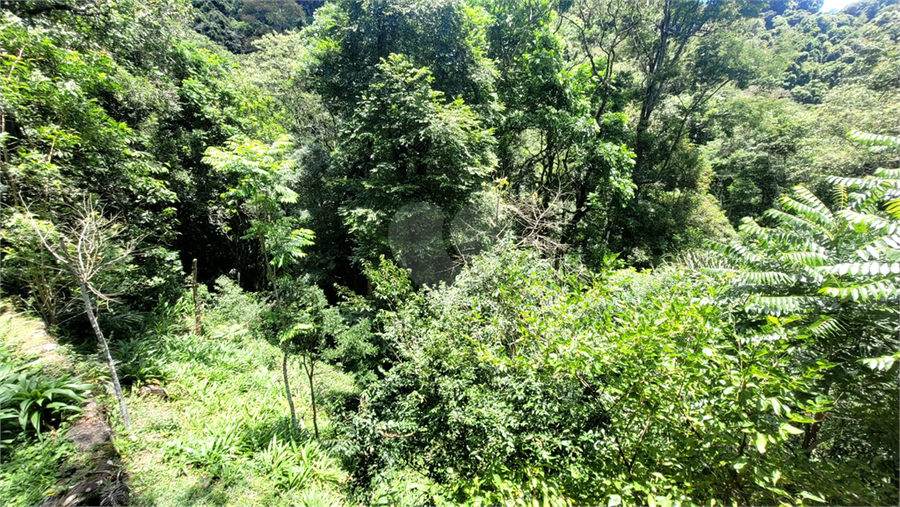 Foto REO1121840