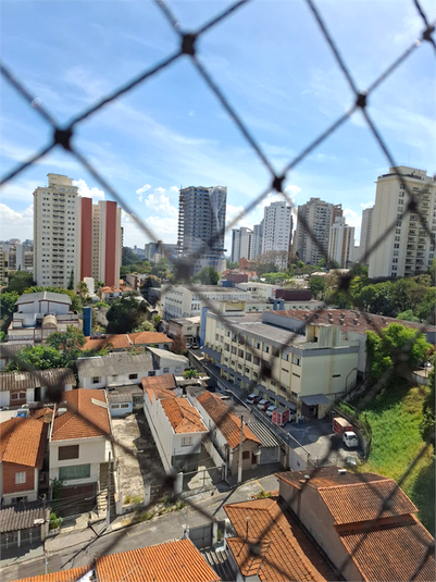 Foto REO1121842