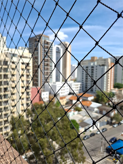 Foto REO1121842