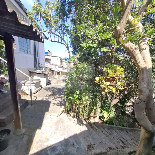 Foto REO1121859