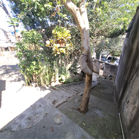 Foto REO1121859