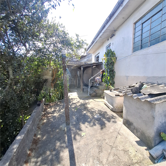 Foto REO1121859