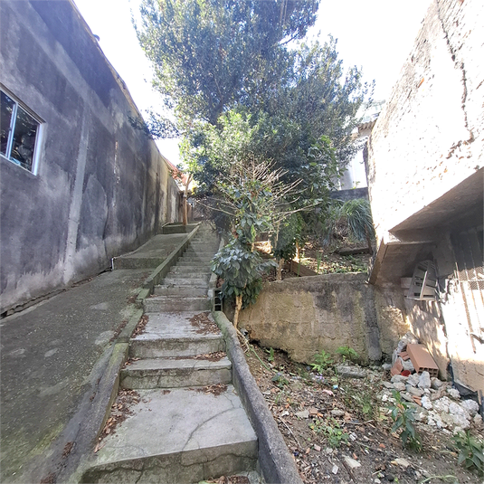 Foto REO1121859