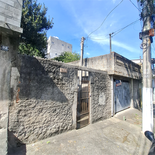 Foto REO1121859