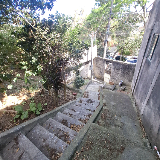 Foto REO1121859