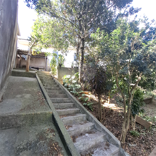 Foto REO1121859