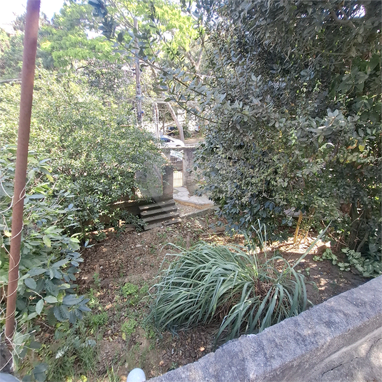 Foto REO1121859