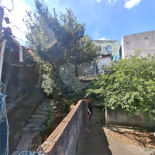 Foto REO1121859