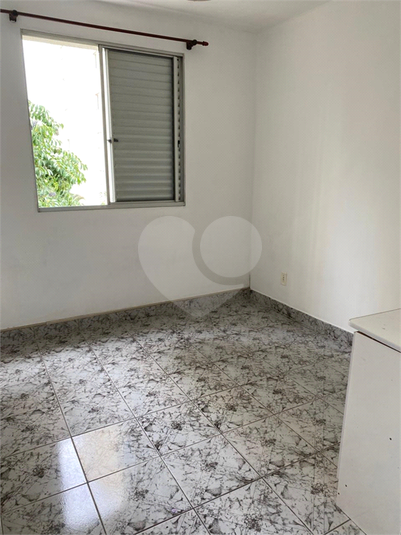 Foto REO1121865