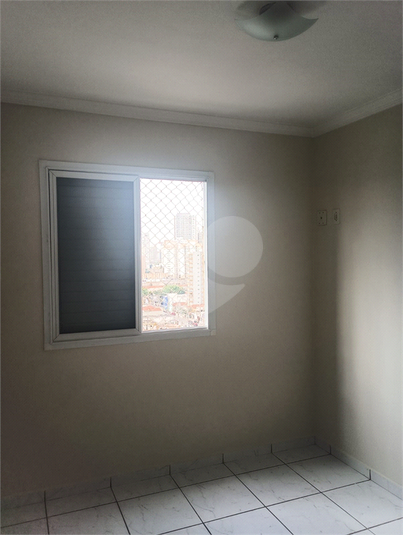 Foto REO1121875