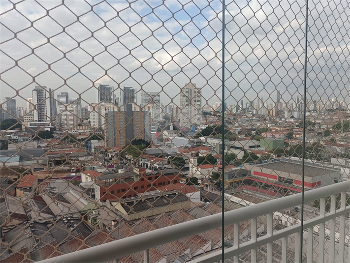 Foto REO1121875