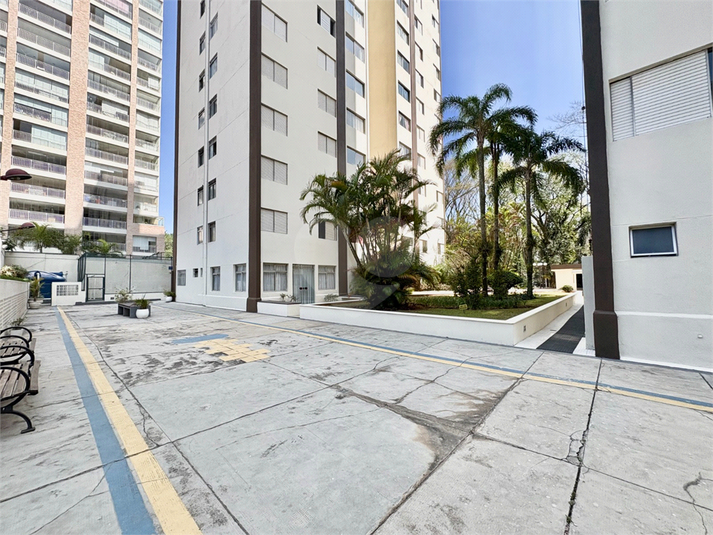 Foto REO1121881