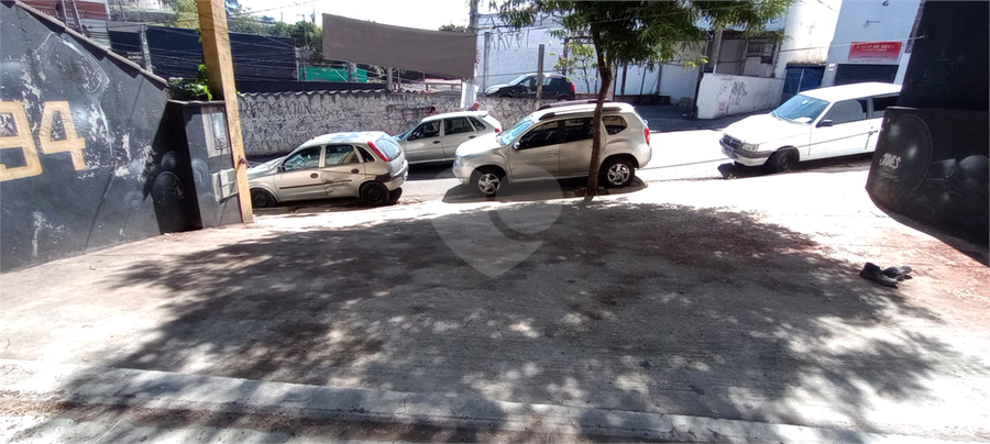 Foto REO1121888