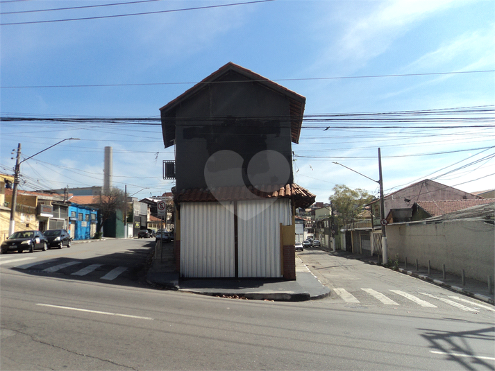 Foto REO1121893
