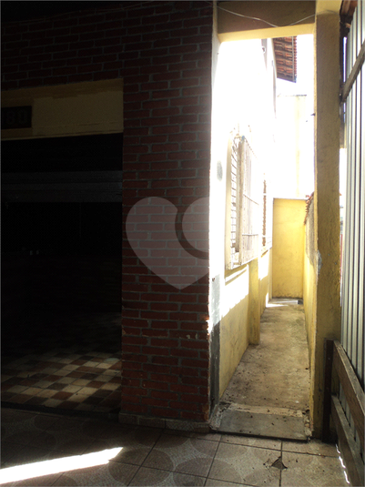 Foto REO1121893