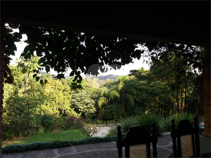 Foto REO1121904