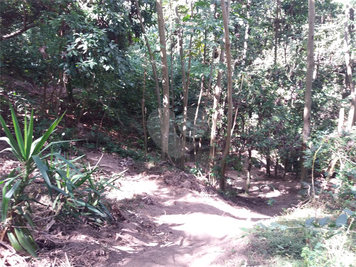 Foto REO1121904