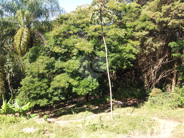 Foto REO1121904