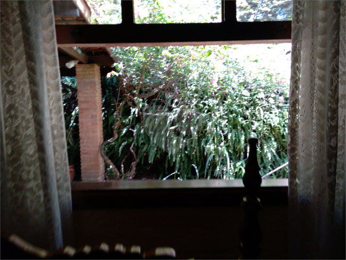 Foto REO1121904