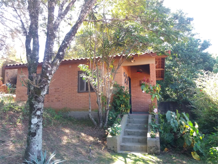 Foto REO1121904