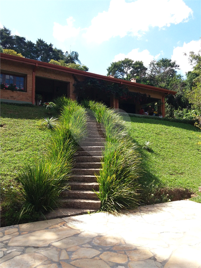 Foto REO1121904