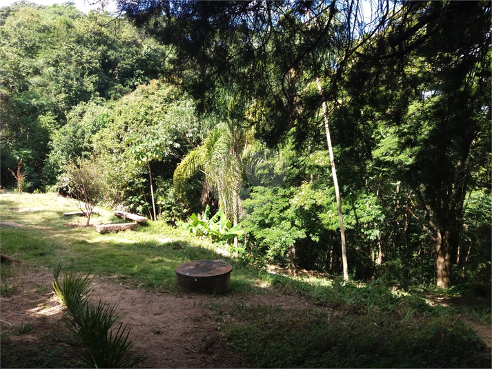 Foto REO1121904