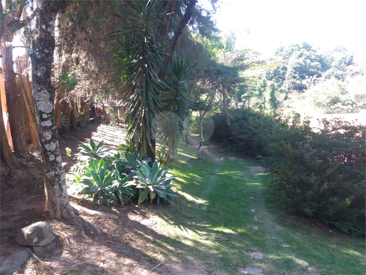 Foto REO1121904