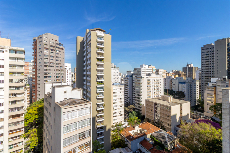 Foto REO1121908