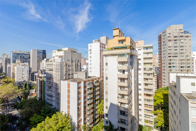 Foto REO1121908