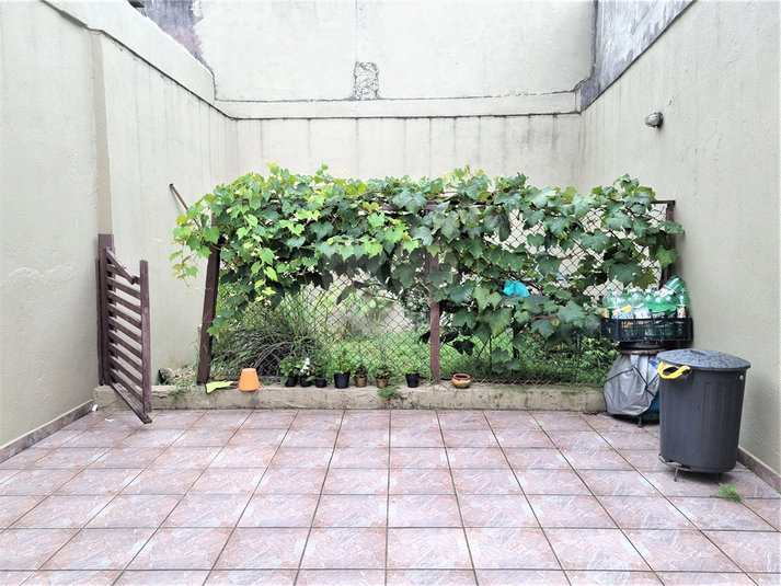 Foto REO1121914