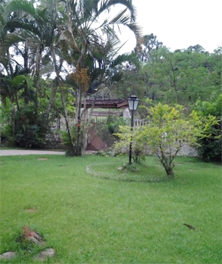 Foto REO1121931