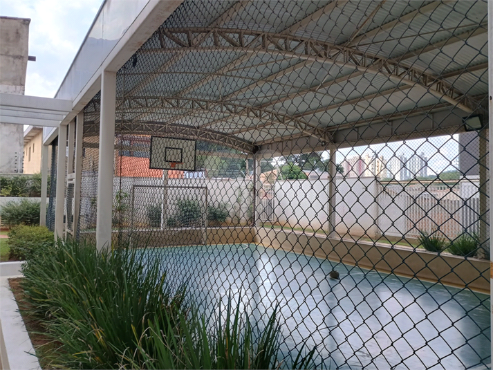 Foto REO1121933