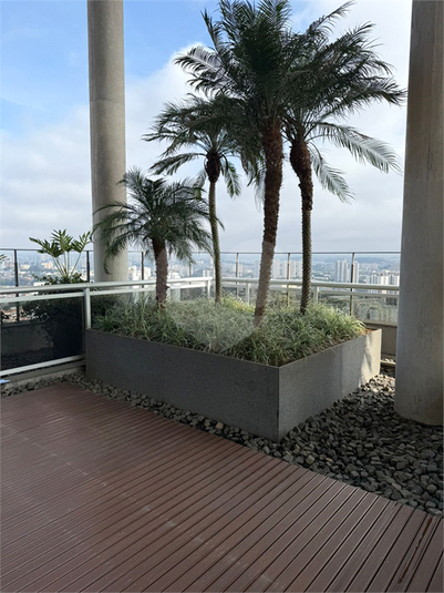 Foto REO1121938