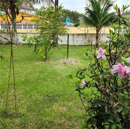 Foto REO1121940