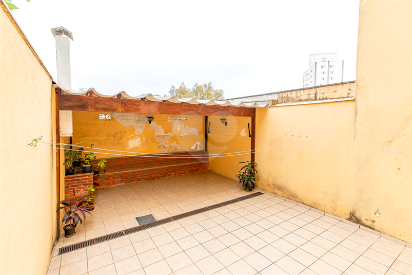 Foto REO1121966