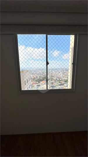 Foto REO1121968