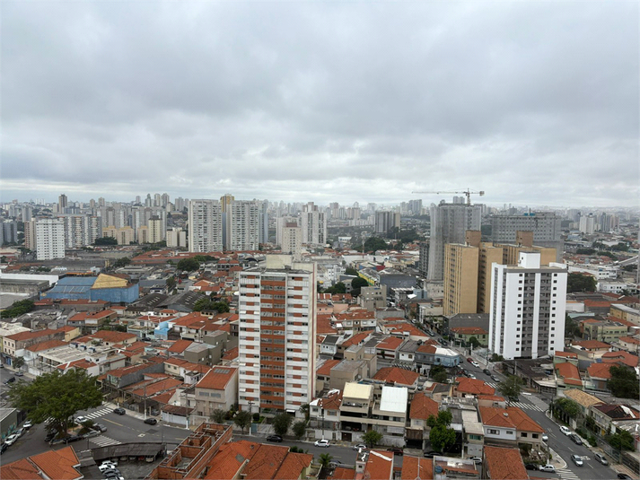 Foto REO1121972